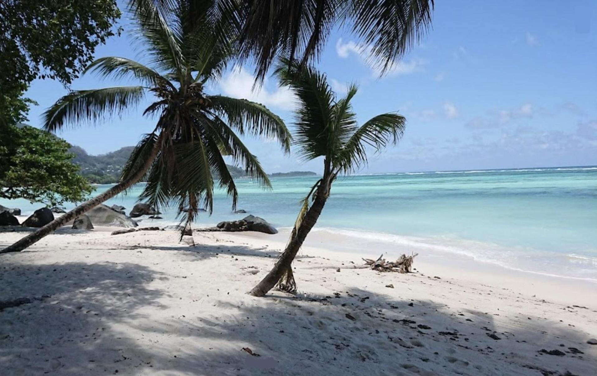 Pointe Au SelL'Echappee Du Cap公寓 外观 照片